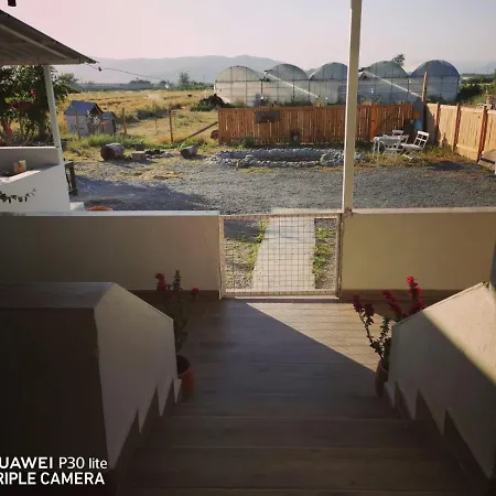 Pitaya House - Dalyan * موجلا