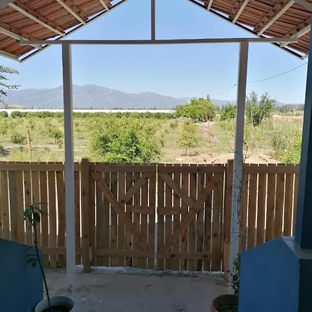 فيلة Pitaya House - Dalyan موجلا