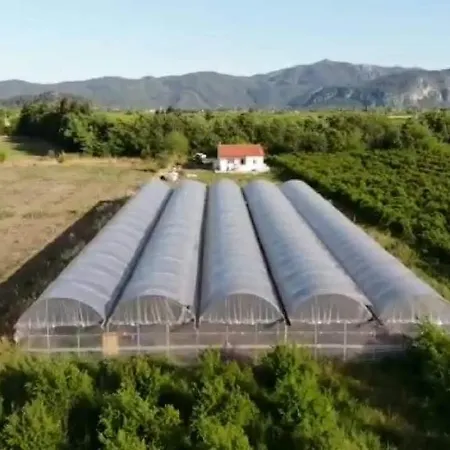 Pitaya House - Dalyan Mugla